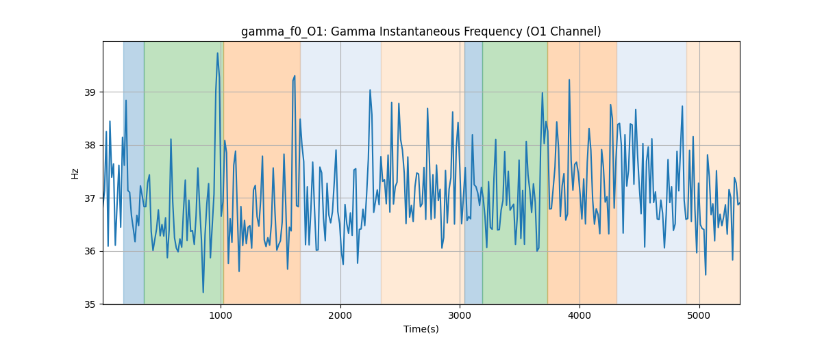 gamma_f0_O1: Gamma Instantaneous Frequency (O1 Channel)