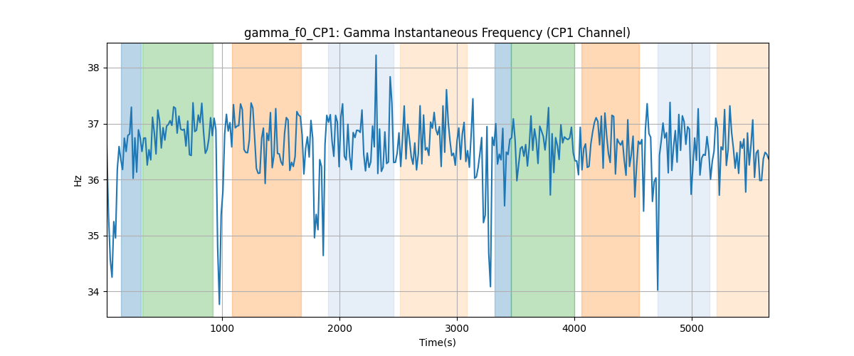 gamma_f0_CP1: Gamma Instantaneous Frequency (CP1 Channel)